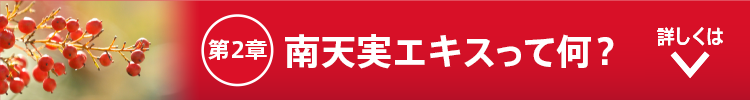 南天実エキスって何？